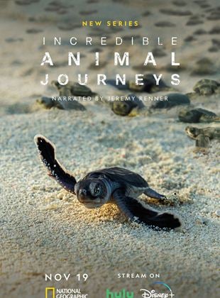 Incredible Animal Journeys
