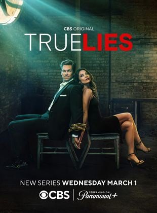 True Lies Saison 1